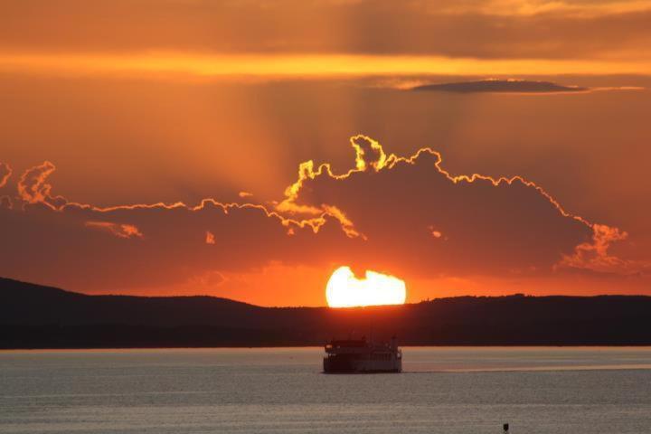 Nada Borik * Zadar