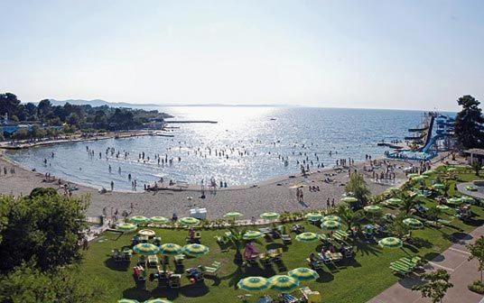 Nada Borik * Zadar